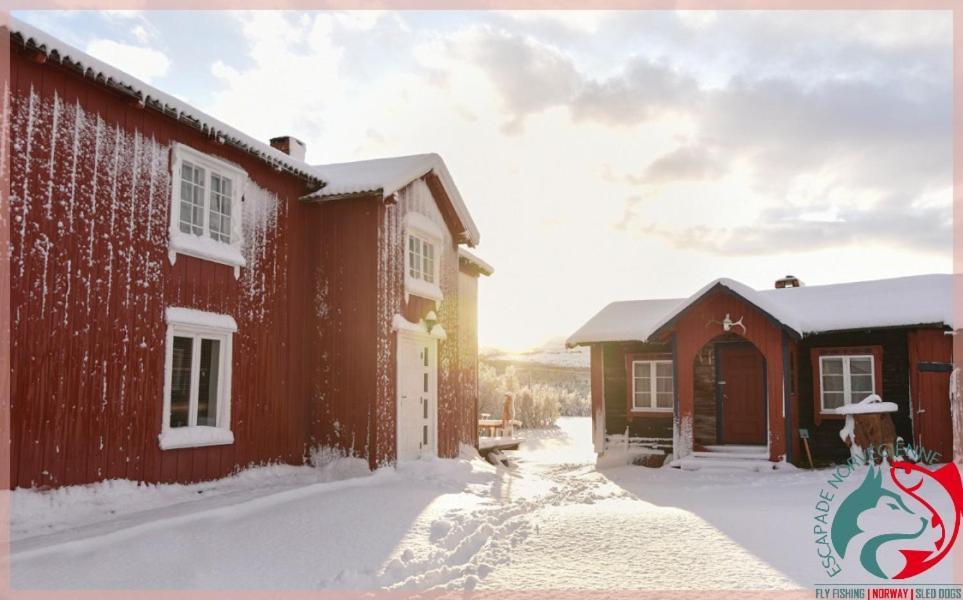 Apartmán Escapade Norvegienne Tolga Exteriér fotografie