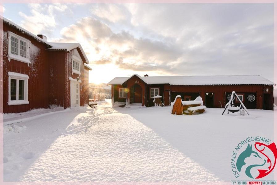 Apartmán Escapade Norvegienne Tolga Exteriér fotografie