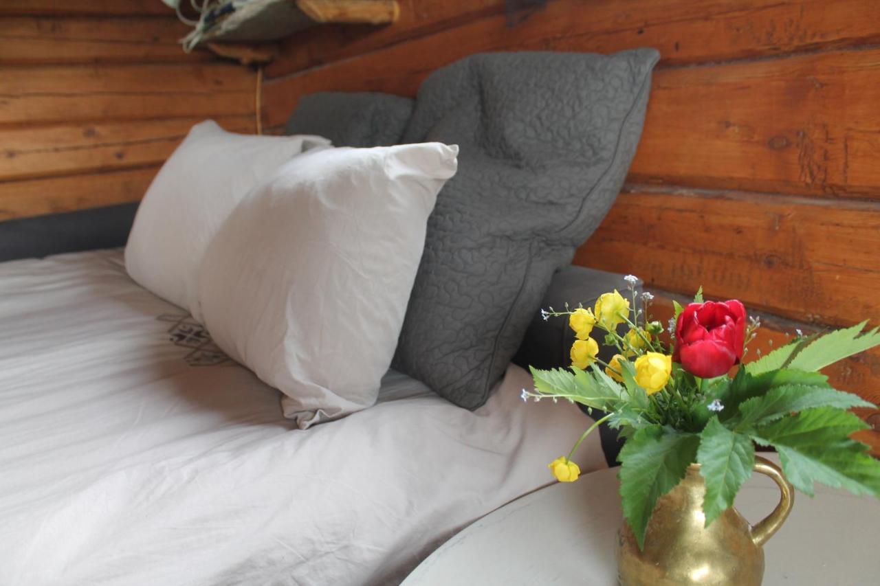 Apartmán Escapade Norvegienne Tolga Exteriér fotografie