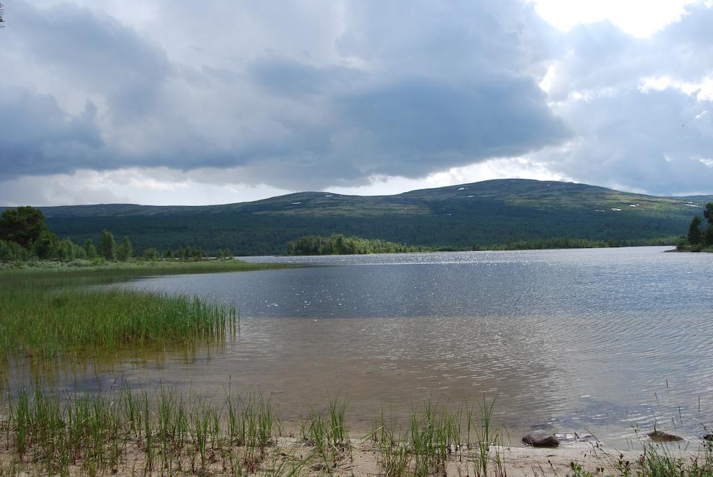 Apartmán Escapade Norvegienne Tolga Exteriér fotografie