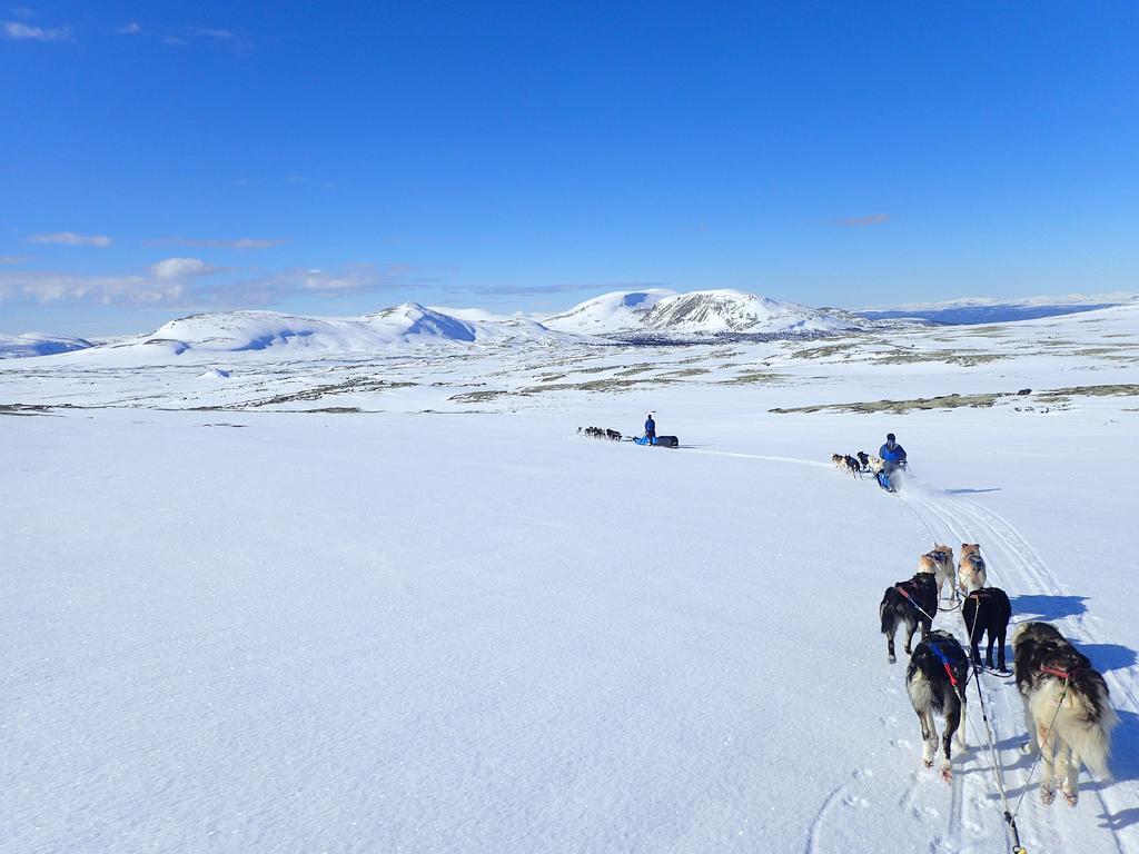 Apartmán Escapade Norvegienne Tolga Exteriér fotografie